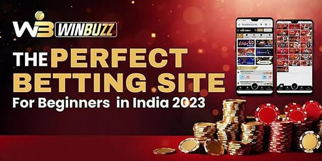 Winbuzz and the Importance of a User-Friendly Online Gaming Experience